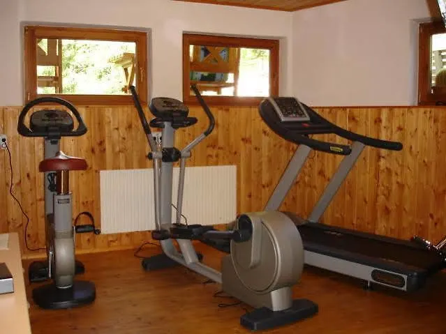 فندق Gsallbach 3*