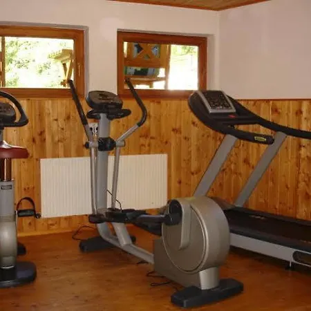 Hotel Gsallbach 3*