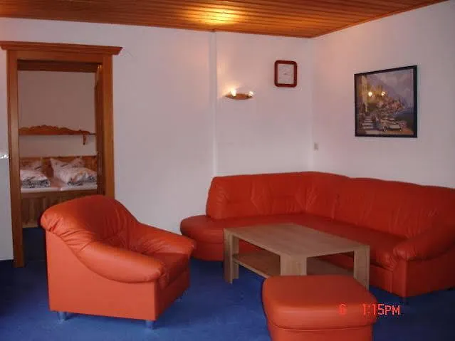 酒店 萨尔巴赫酒店 3*